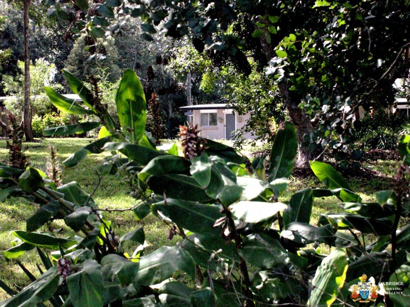 1/654-656  Main Western Road, Tamborine Mountain QLD 4272