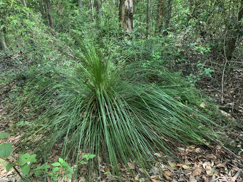 89 Hewitt Road, Mount Mee QLD 4521