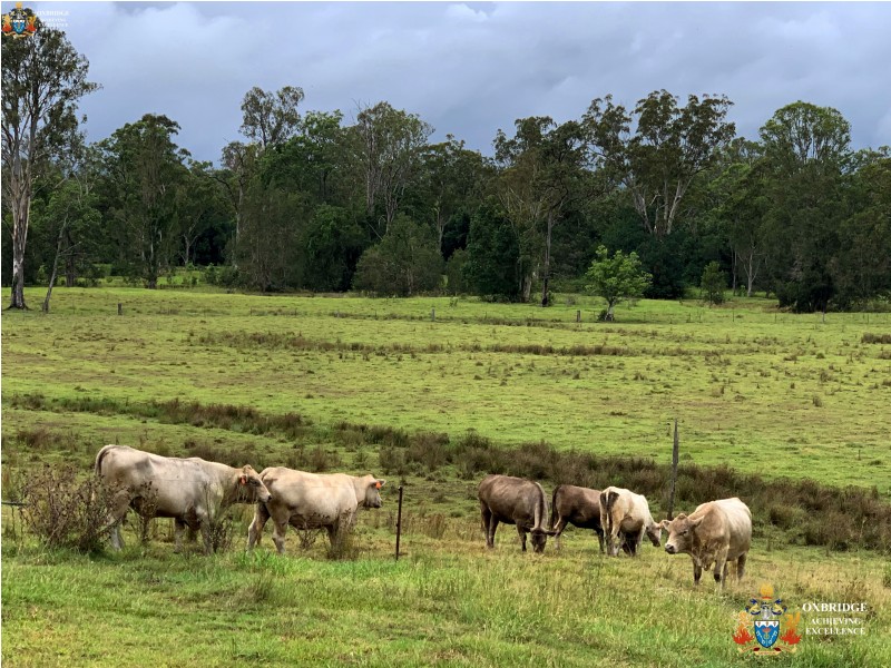 17-139 Kropp Road, Woodford QLD 4514