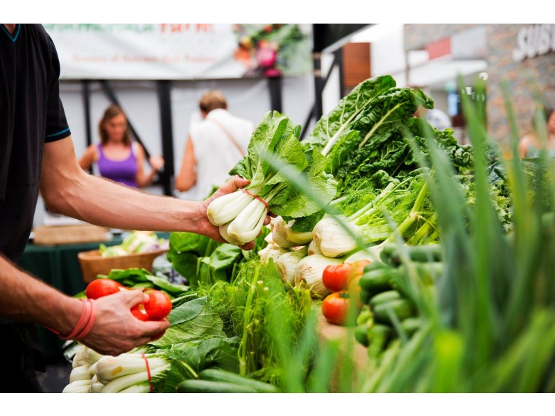 119 Point Cartwright Dr, Buddina QLD 4575