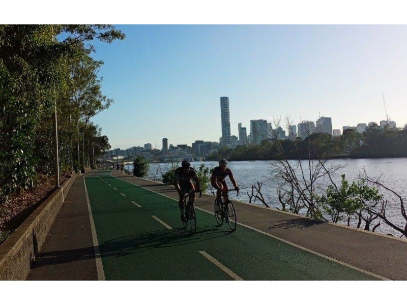 Room 11/42 Macdonnell Street, Toowong QLD 4066