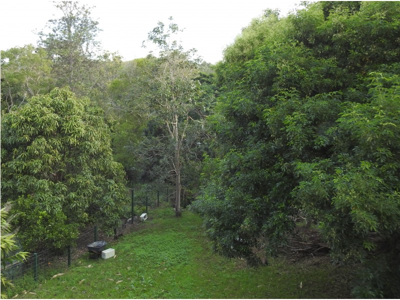 52 Enchelmaier Street, Dayboro QLD 4521