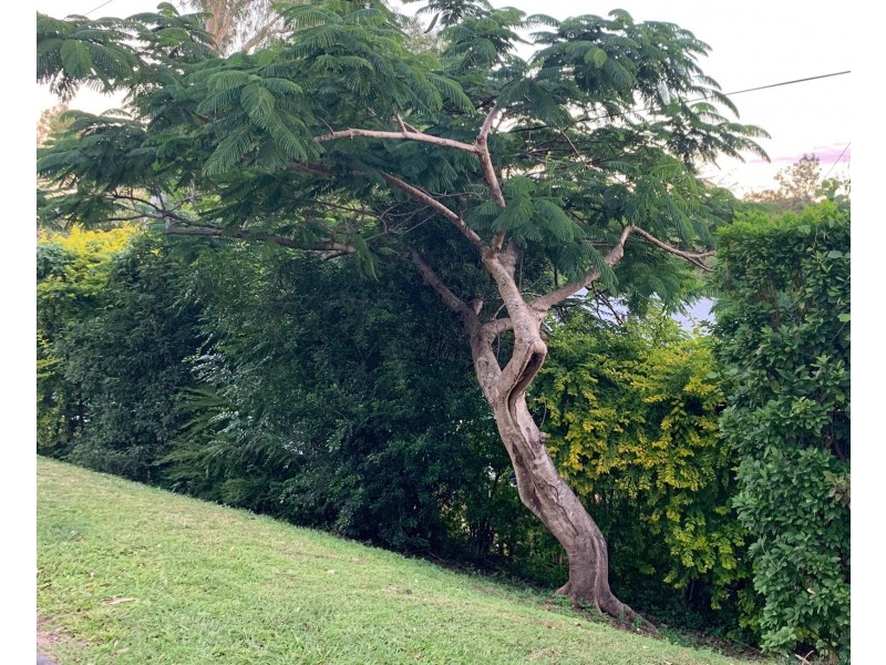 52 Enchelmaier Street, Dayboro QLD 4521