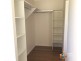 11 Depper Street, St Lucia QLD 4067