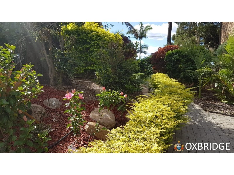 12/11 Ascog Terrace, Toowong QLD 4066