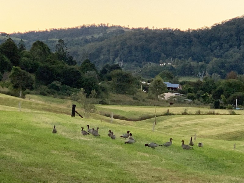 3449 Mount Mee Road, Dayboro QLD 4521