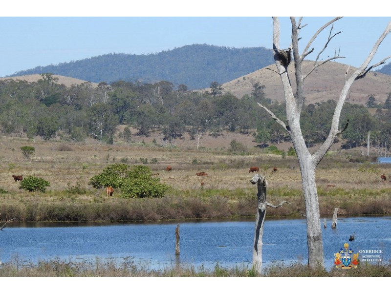 10 SP224626 Alma Court, Villeneuve QLD 4514