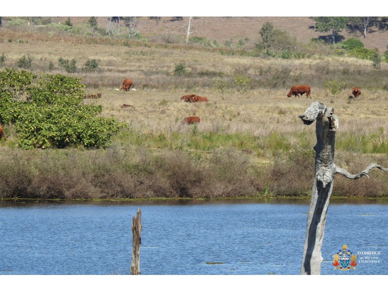 10 SP224626 Alma Court, Villeneuve QLD 4514