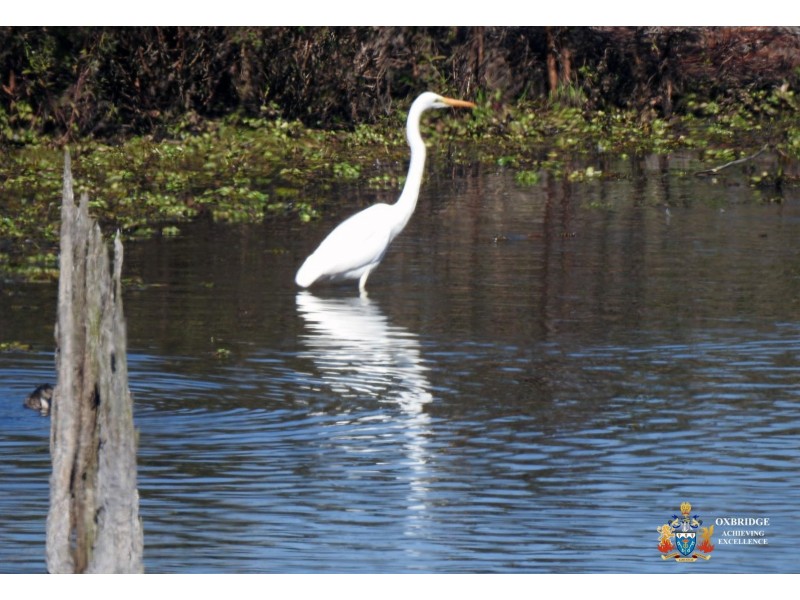 10 SP224626 Alma Court, Villeneuve QLD 4514