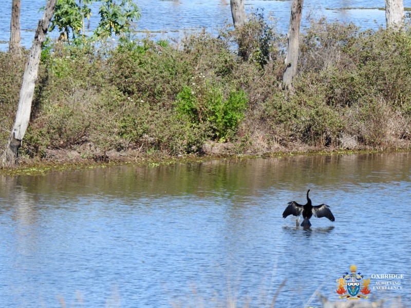 10 SP224626 Alma Court, Villeneuve QLD 4514