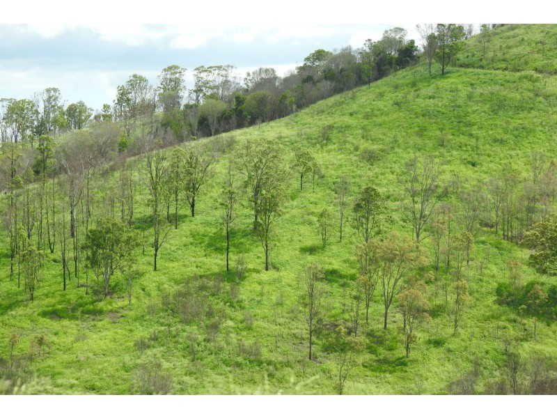 1726 Neurum Road, Villeneuve QLD 4514