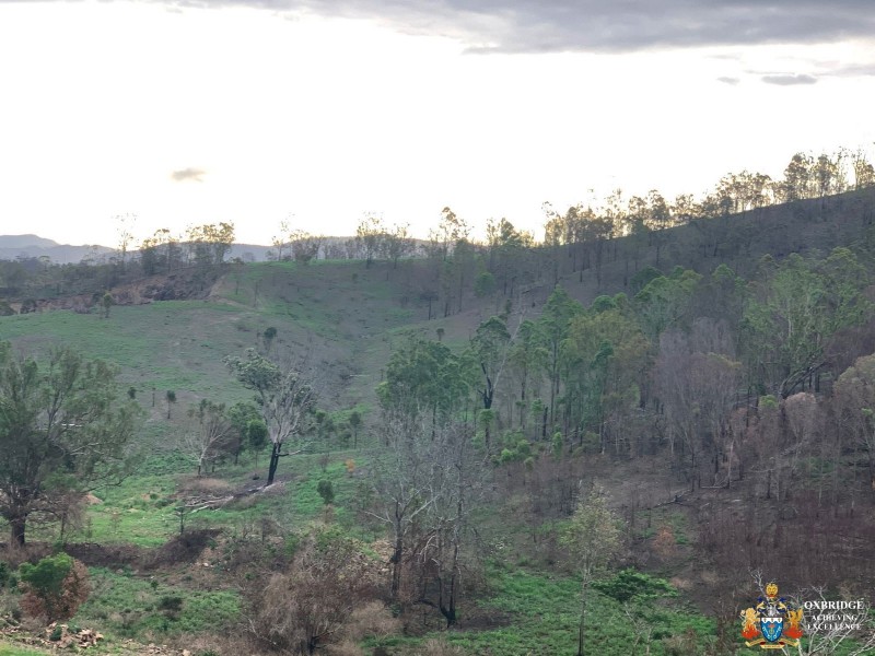 1726 Neurum Road, Villeneuve QLD 4514