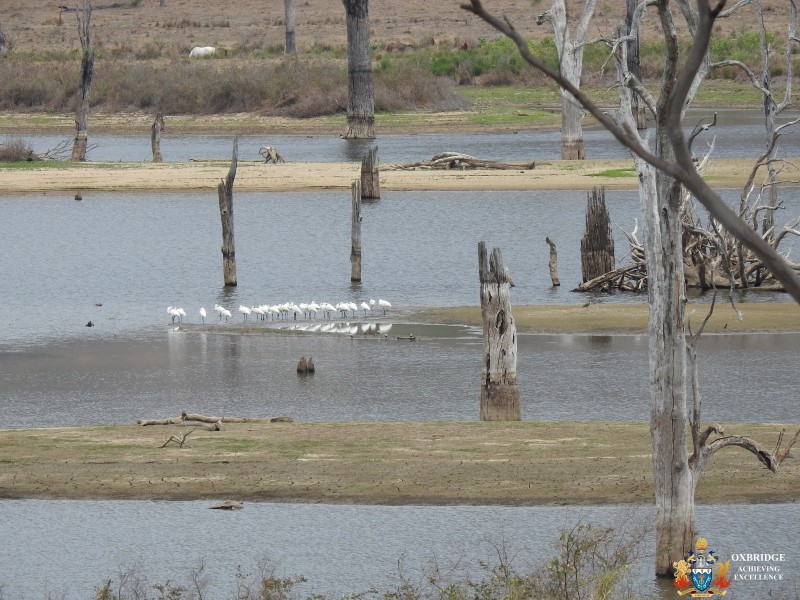 1726 Neurum Road, Villeneuve QLD 4514