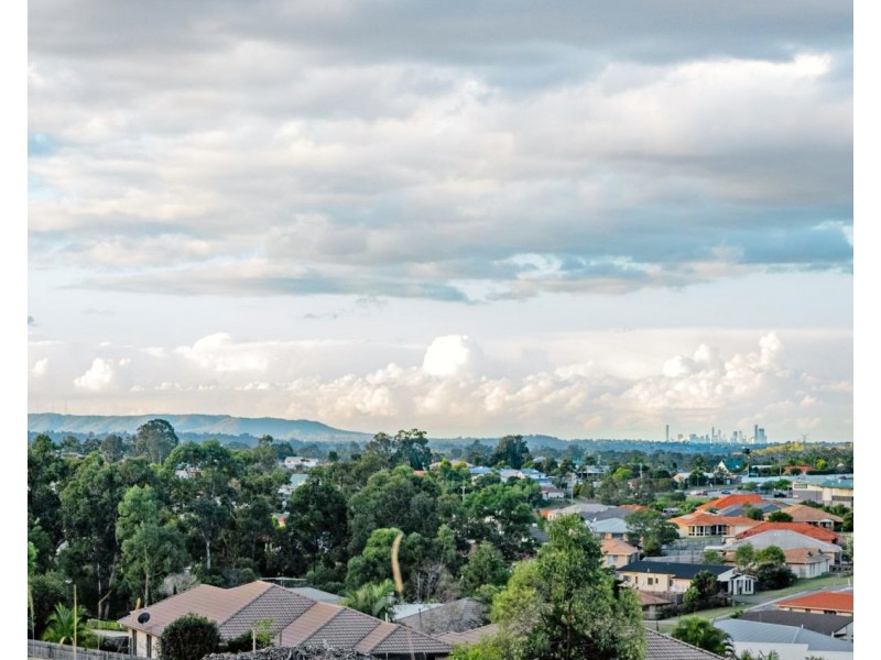 111 Tulipwood Street, Collingwood Park QLD 4301