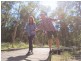 186 Cypress Street, Collingwood Park QLD 4301
