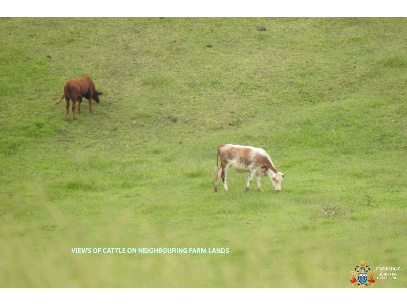 13 Gannon Street, Mount Mee QLD 4521