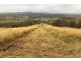 Villeneuve QLD 4514