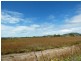 67 Bootooloo Road, Bowen QLD 4805