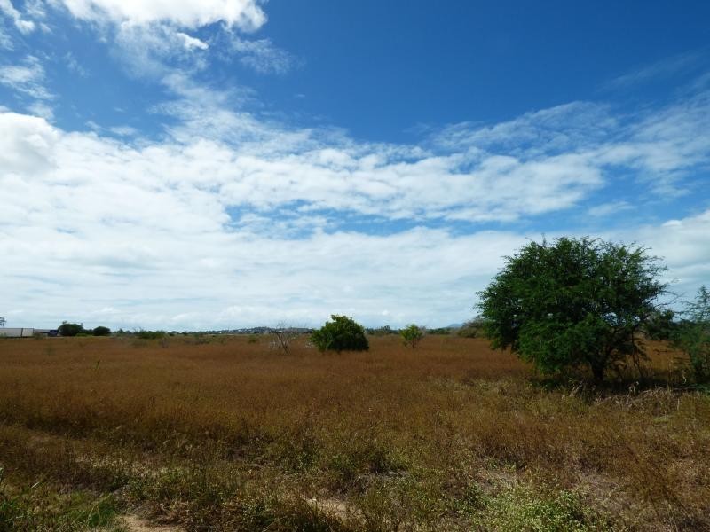 67 Bootooloo Road, Bowen QLD 4805