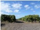 1 Millers Lane, Bowen QLD 4805