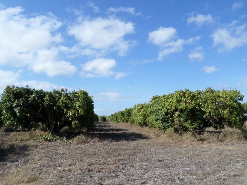1 Millers Lane, Bowen QLD 4805
