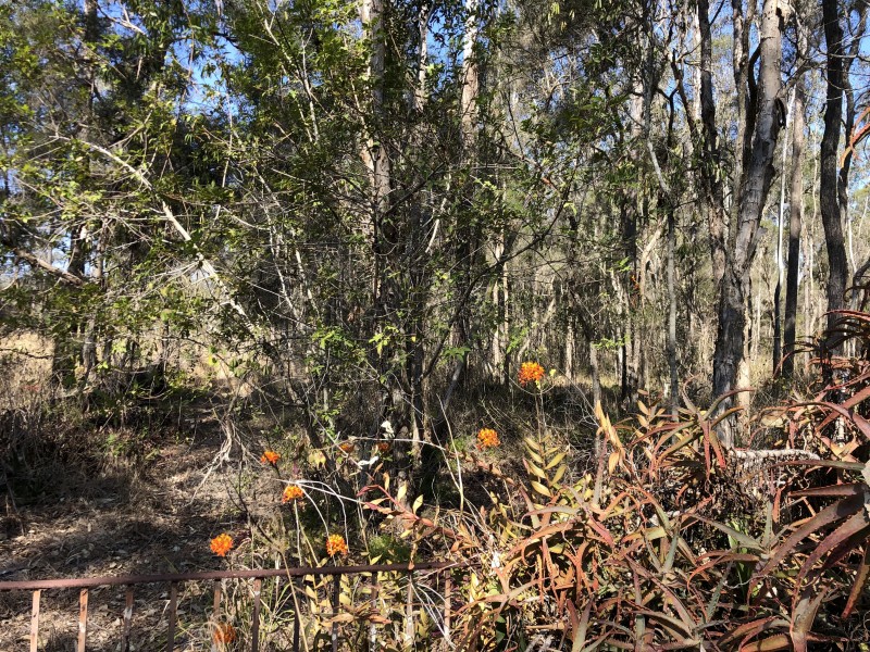 4408-4414 Mount Lindesay Highway, Munruben QLD 4125