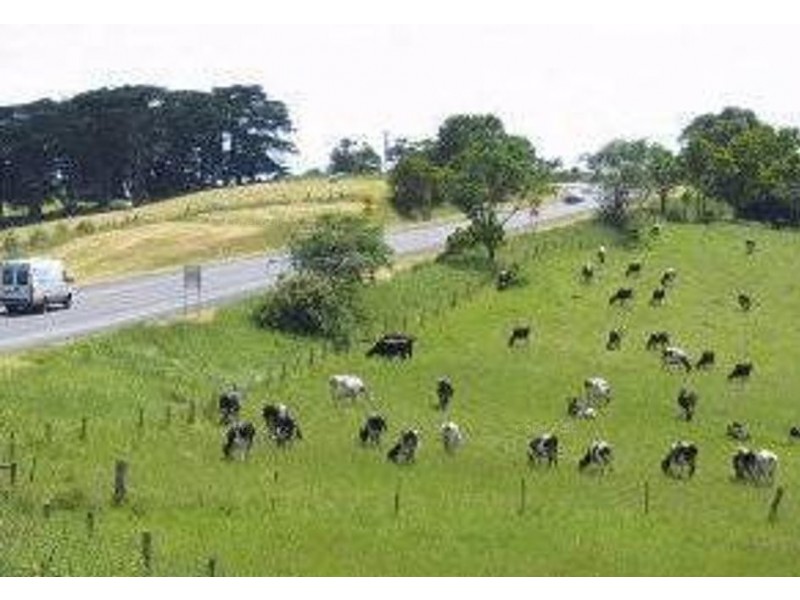 710 Korumburra-Warragul Road, Ranceby VIC 3951