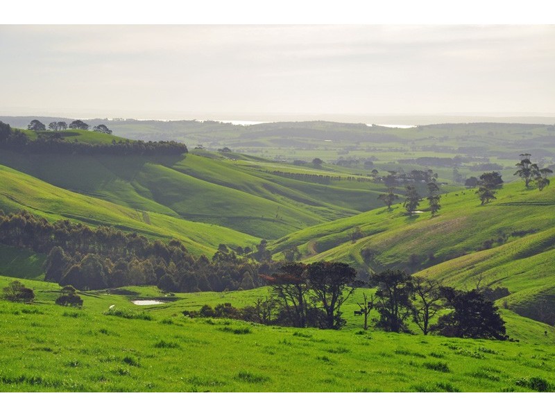 710 Korumburra-Warragul Road, Ranceby VIC 3951