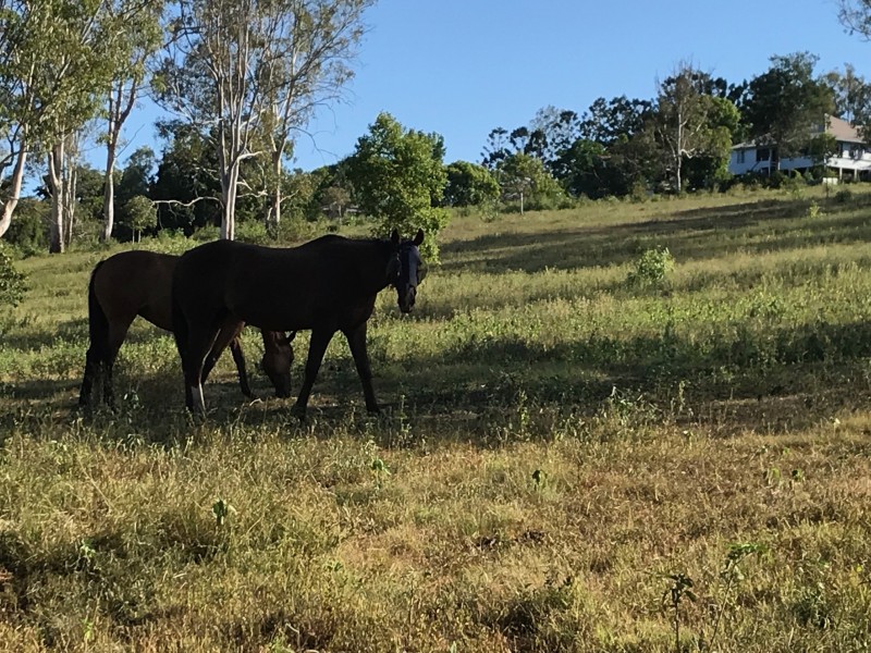 8a Morris Terrace, Gin Gin QLD 4671