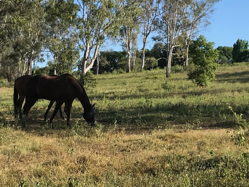 8a Morris Terrace, Gin Gin QLD 4671