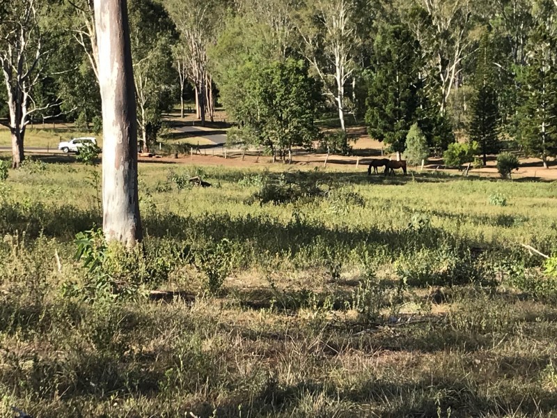 8a Morris Terrace, Gin Gin QLD 4671