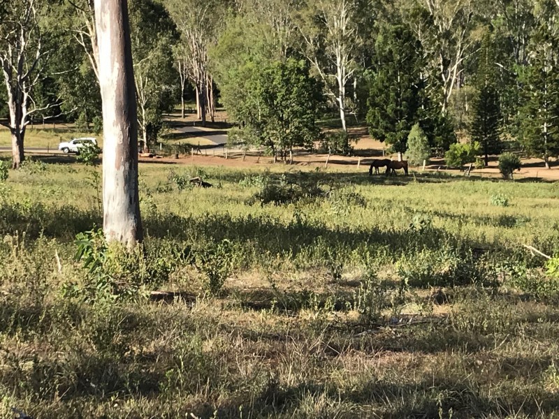 8a Morris Terrace, Gin Gin QLD 4671