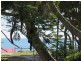 442 Esplanade, Torquay QLD 4655