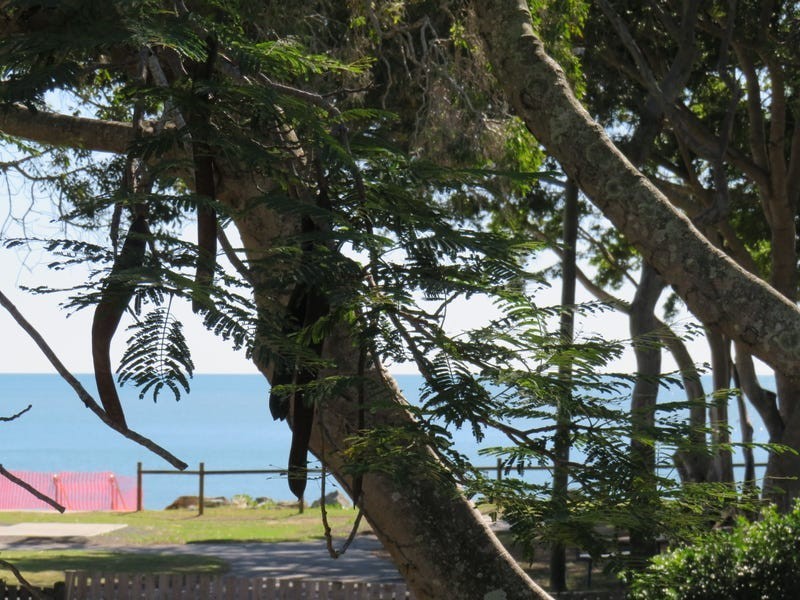 442 Esplanade, Torquay QLD 4655