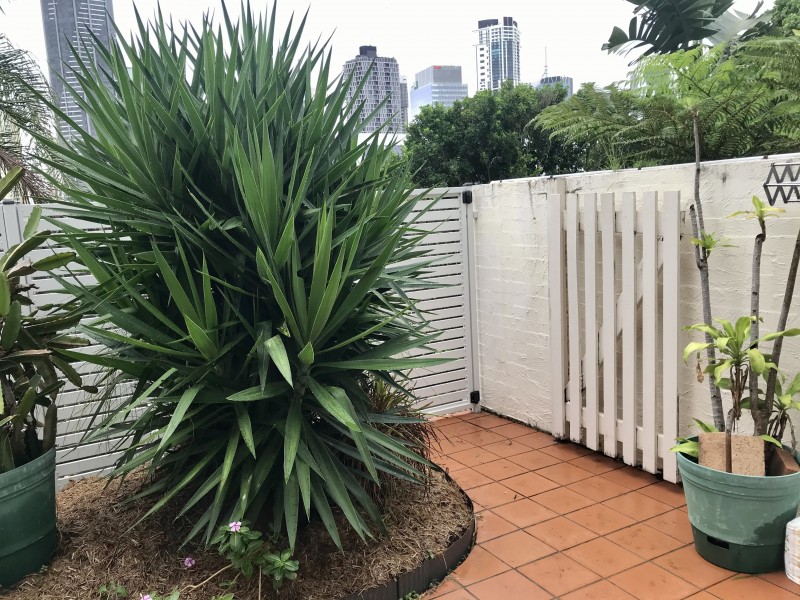 137 Saint Pauls Terrace, Spring Hill QLD 4000