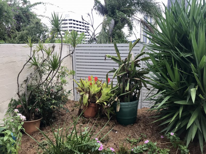 137 Saint Pauls Terrace, Spring Hill QLD 4000