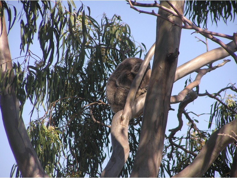 192 Ocean Vista Drive, Maroochy River QLD 4561