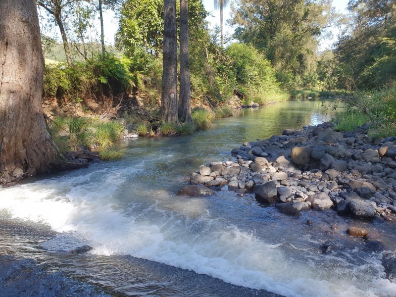 19 Warra Warra Lane, Warrazambil Creek NSW 2474