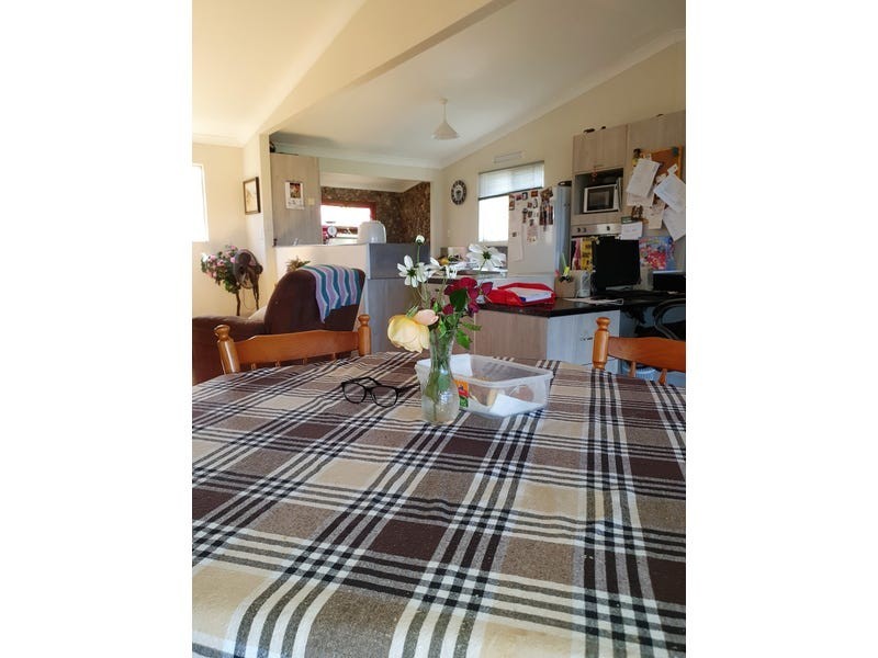 168 Mountain Creek Road, Mole River NSW 2372