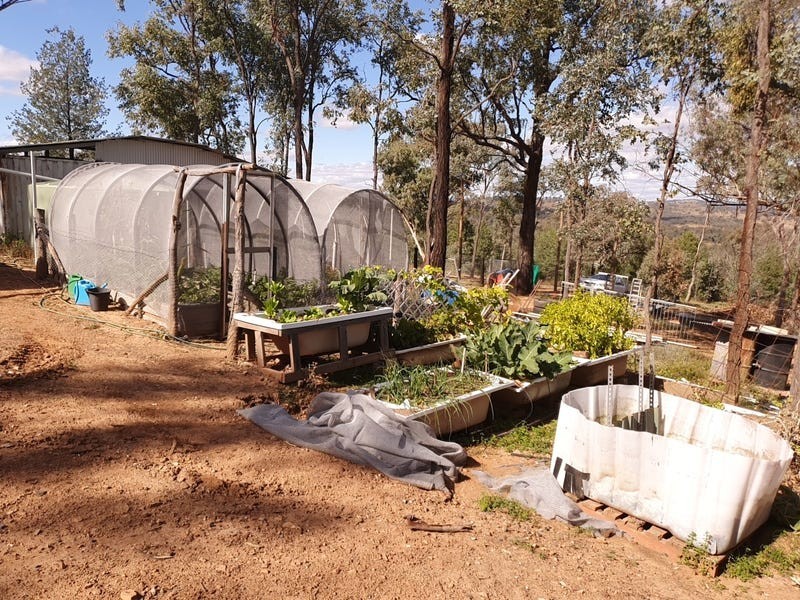 168 Mountain Creek Road, Mole River NSW 2372