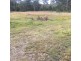 359-379 New Beith Road, Greenbank QLD 4124