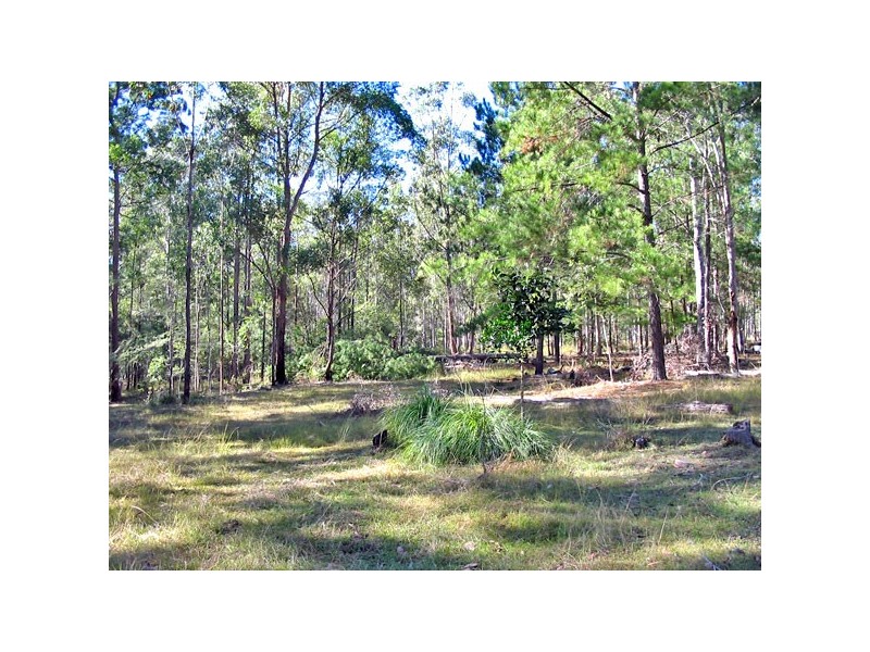 5120 Summerland Way, Whiporie NSW 2469
