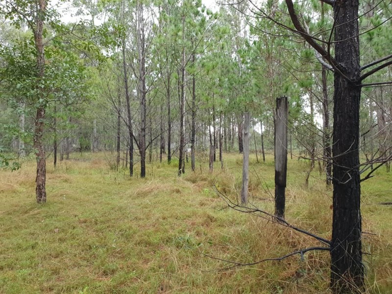 5120 Summerland Way, Whiporie NSW 2469