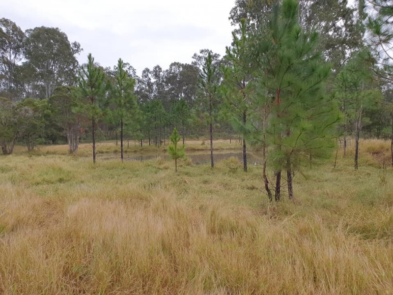 5120 Summerland Way, Whiporie NSW 2469