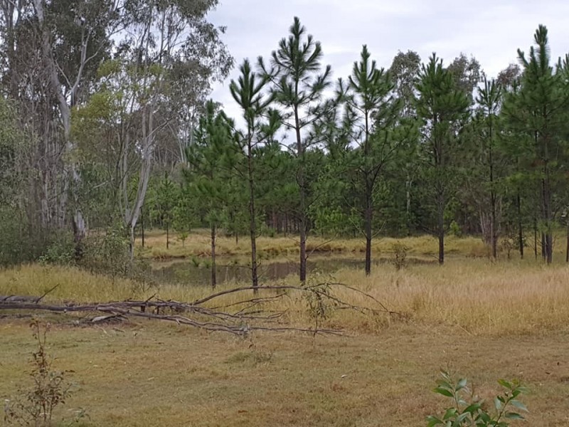 5120 Summerland Way, Whiporie NSW 2469