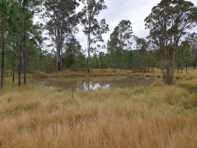 5120 Summerland Way, Whiporie NSW 2469