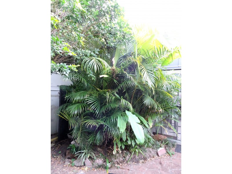 45 Woodburn Street, Evans Head NSW 2473