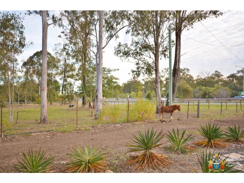 1/4408-4414 Mount Lindesay Highway, Munruben QLD 4125