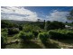 160 Gailey Road, St Lucia QLD 4067