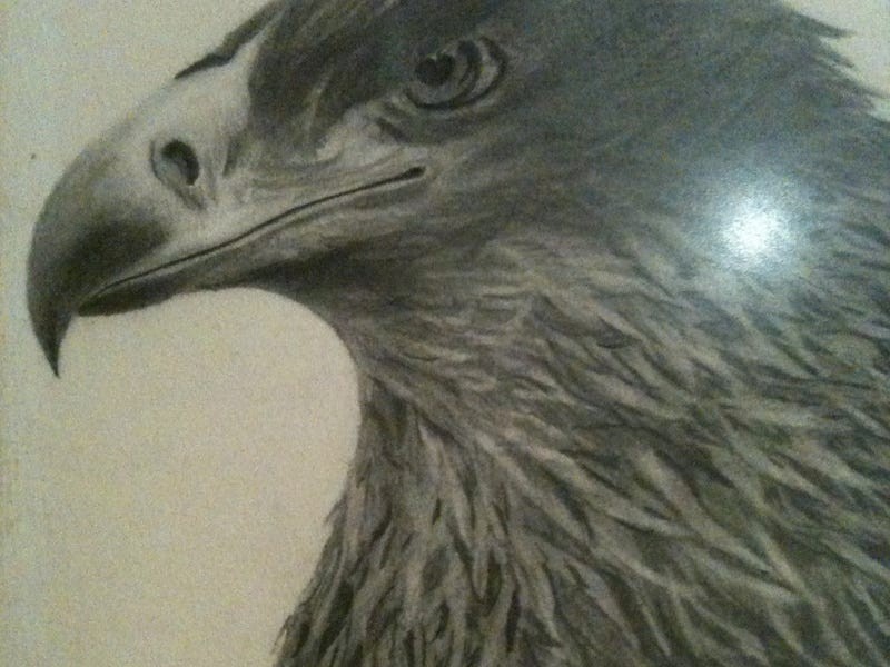 Logan Village QLD 4207